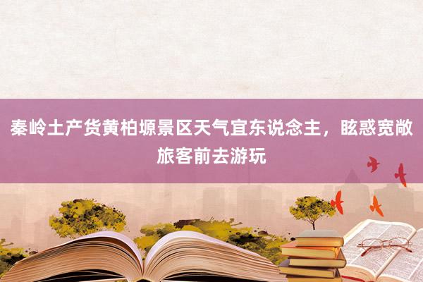 秦岭土产货黄柏塬景区天气宜东说念主，眩惑宽敞旅客前去游玩
