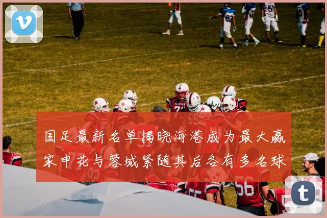 国足最新名单揭晓海港成为最大赢家申花与蓉城紧随其后各有多名球员入选